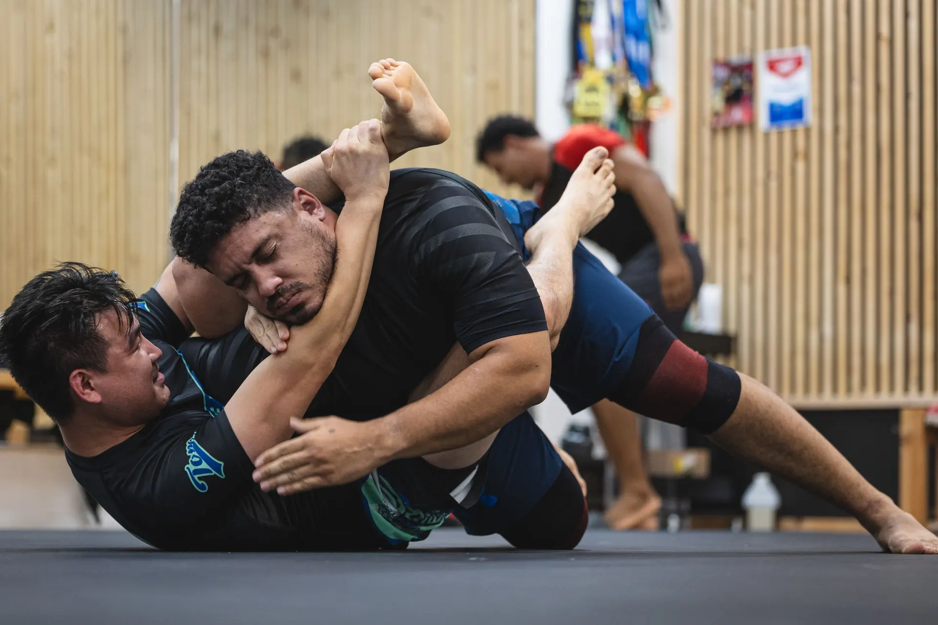 Brazilian Jiu-Jitsu students training at Rolling Bear BJJ in Kenilworth, New Jersey