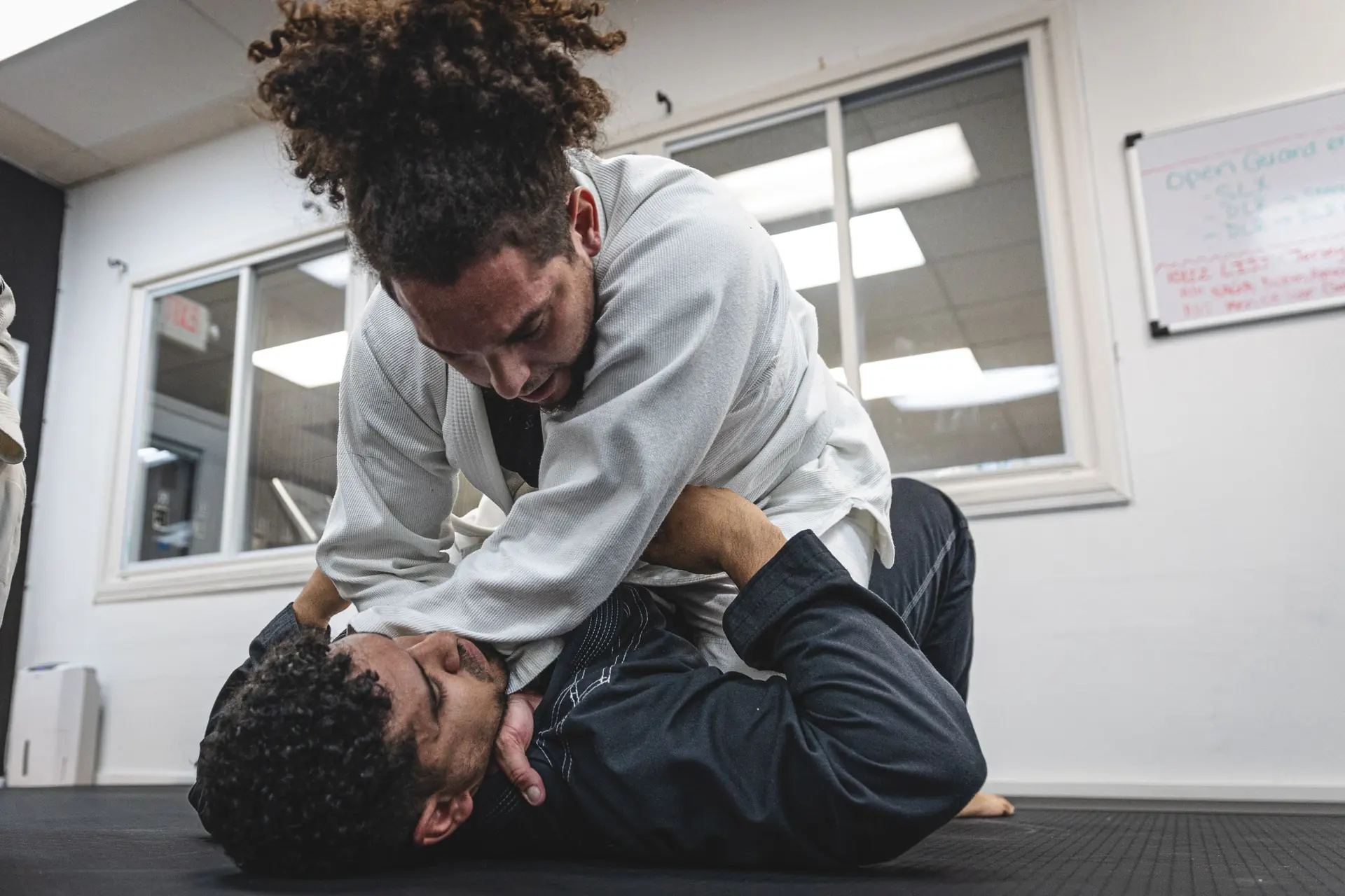 Rolling Bear Brazilian Jiu-Jitsu team serving Kenilworth and Union County, New Jersey
