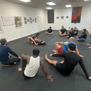 Rolling Bear Adelante Jiu-Jitsu Club No Gi Class