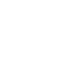 Rolling Bear Adelante Jiu-Jitsu Club